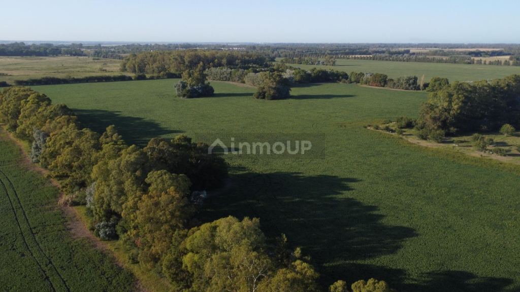 Terreno en Venta en Campana, G.B.A. Zona Norte
