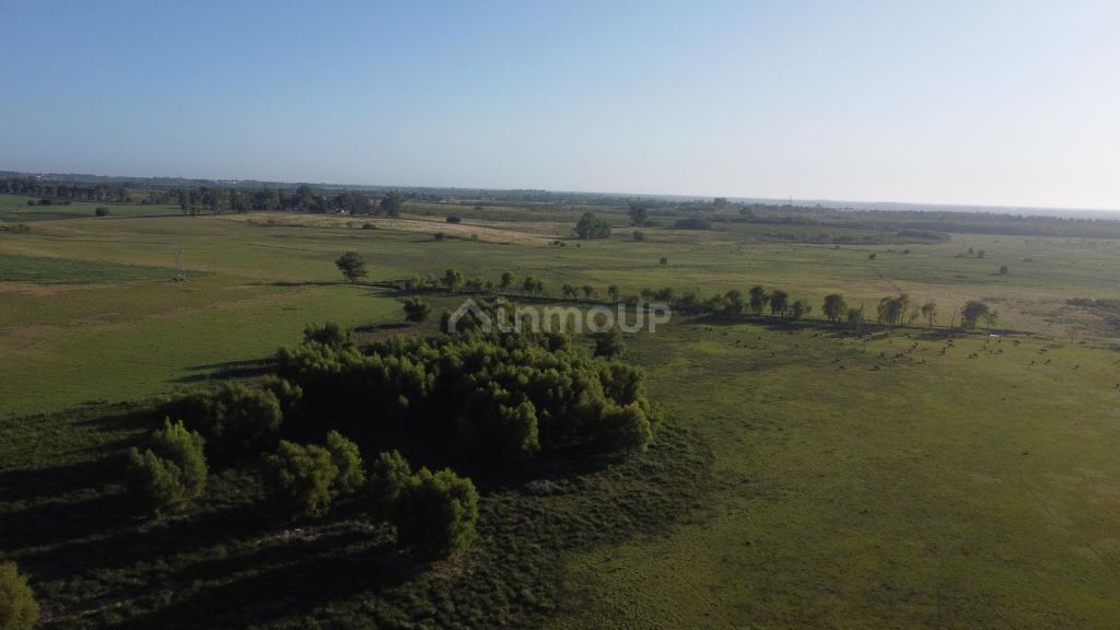 Terreno en Venta en Campana, G.B.A. Zona Norte