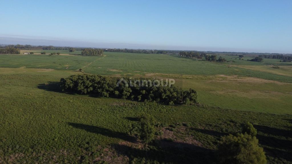 Terreno en Venta en Campana, G.B.A. Zona Norte