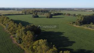 Campana P397+59, Campana, Provincia de Buenos Aires