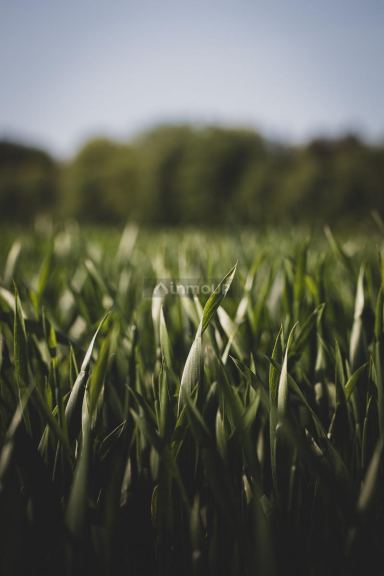 Terreno en Venta en Pilar, G.B.A. Zona Norte