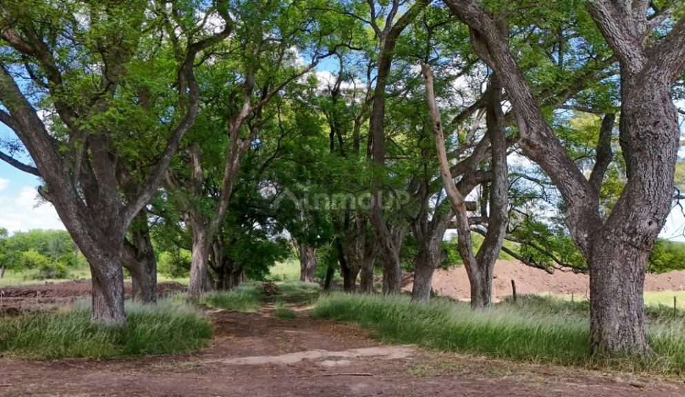 Terreno en Venta en Pilar, G.B.A. Zona Norte