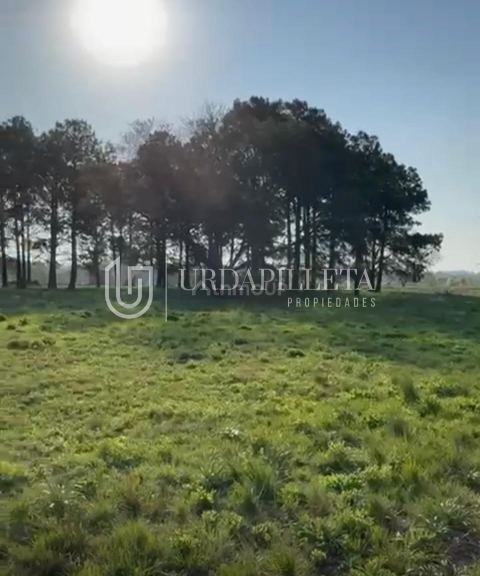 Terreno en Venta en Pilar, G.B.A. Zona Norte