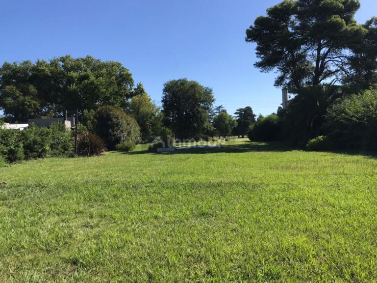 Terreno en Venta en Jose Clemente Paz, G.B.A. Zona Norte
