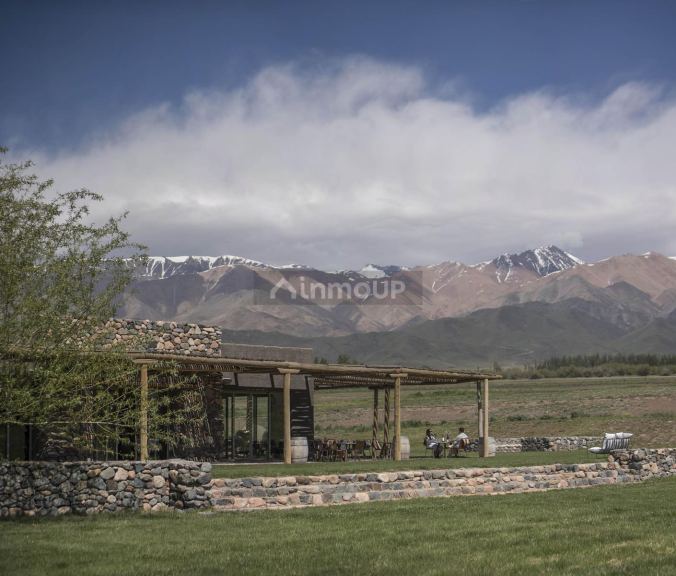 Terreno en Venta en Tupungato, Mendoza