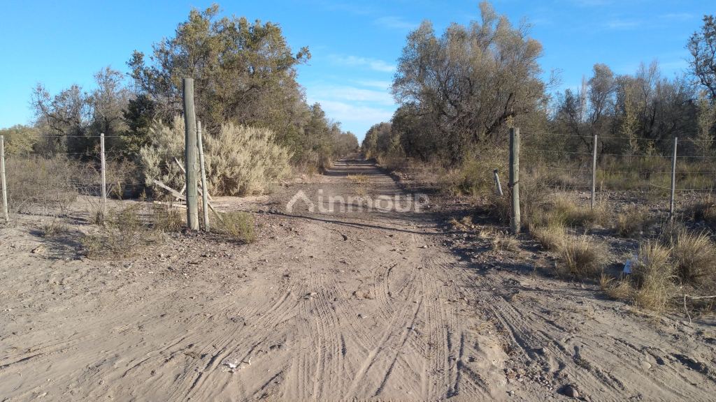 Lote en Venta en Rivadavia, Mendoza