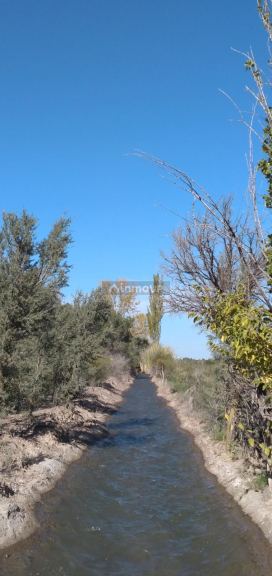 Lote en Venta en Rivadavia, Mendoza