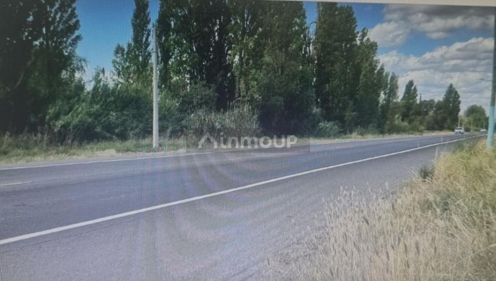 Lote en Venta en Rivadavia, Mendoza