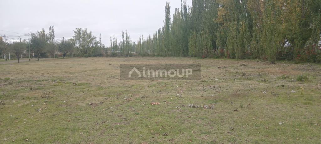 Lote en Venta en San Carlos, Mendoza