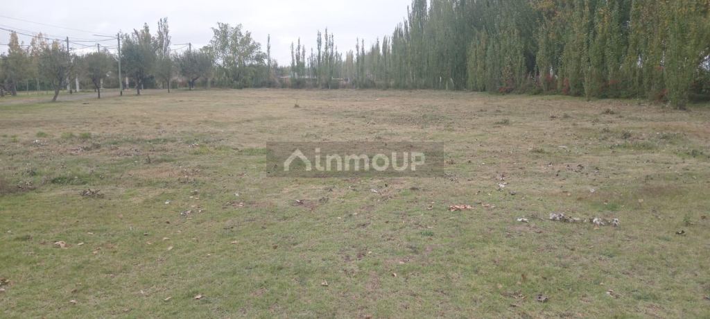 Lote en Venta en San Carlos, Mendoza