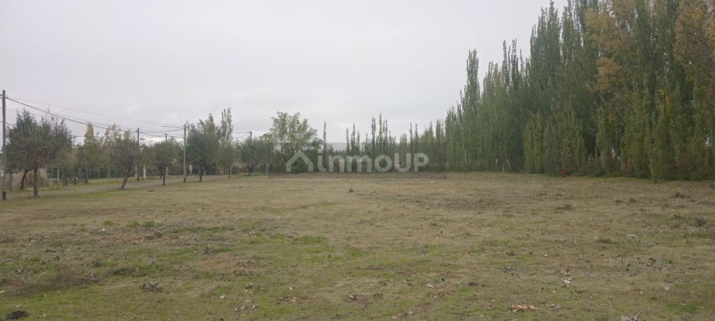 Lote en Venta en San Carlos, Mendoza
