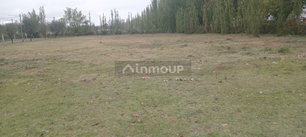 Lote en Venta en San Carlos, Mendoza