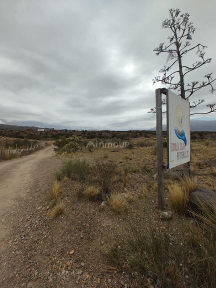 Loteo en Venta en Lujan de Cuyo, Mendoza