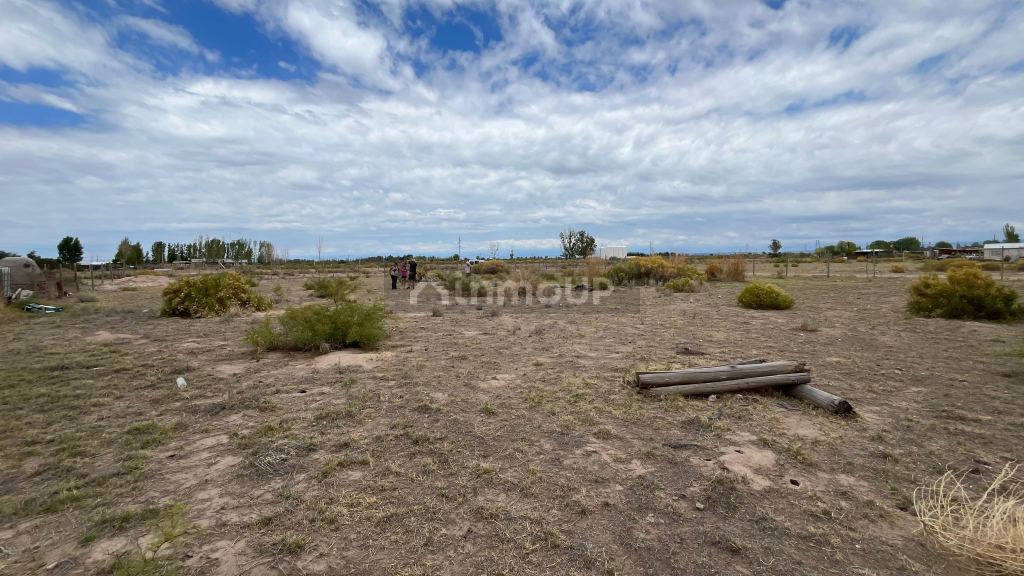 Lote en Venta en Lujan de Cuyo, Mendoza