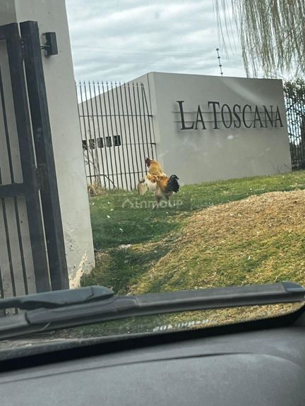 Lote en Venta en Lujan de Cuyo, Mendoza