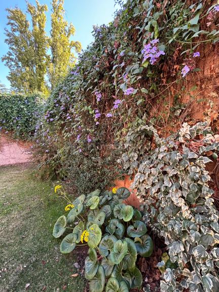 Casa en Alquiler en Capital, Mendoza