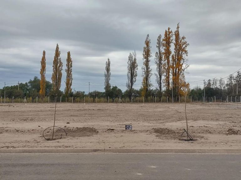 Lote en Venta en Maipu, Mendoza