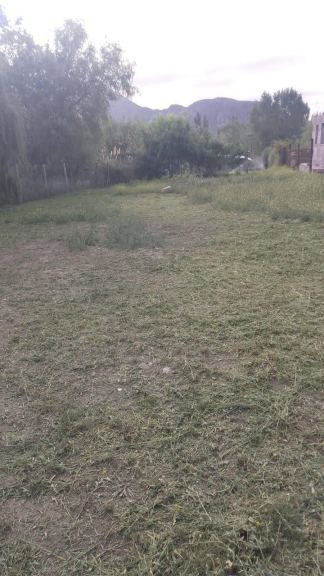 Lote en Venta en Lujan de Cuyo, Mendoza