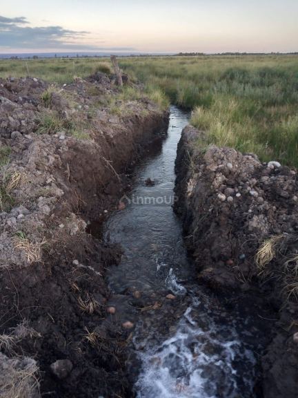 Campo en Venta en Tunuyan, Mendoza