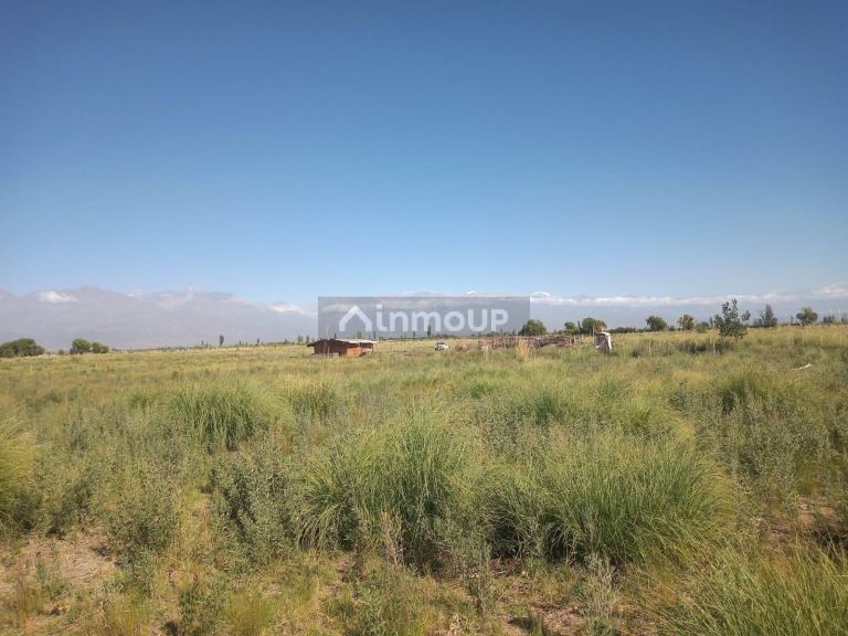 Campo en Venta en Tunuyan, Mendoza