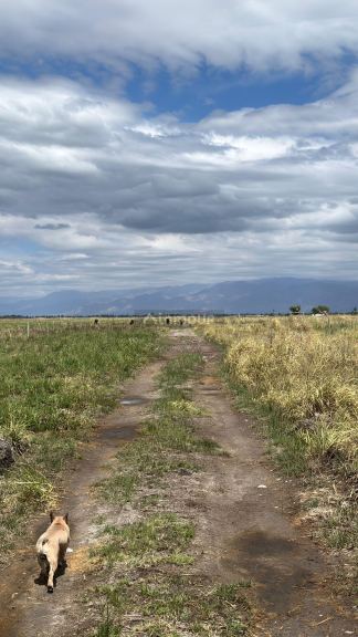 Campo en Venta en Tunuyan, Mendoza