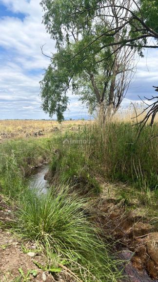 Campo en Venta en Tunuyan, Mendoza