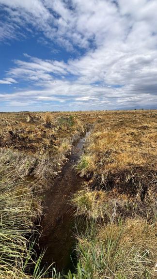 Campo en Venta en Tunuyan, Mendoza