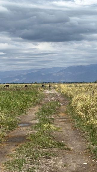 Campo en Venta en Tunuyan, Mendoza