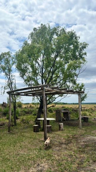 Campo en Venta en Tunuyan, Mendoza