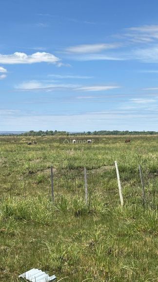 Campo en Venta en Tunuyan, Mendoza
