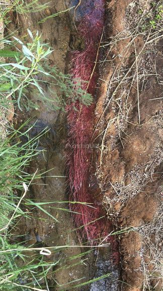 Campo en Venta en Tunuyan, Mendoza