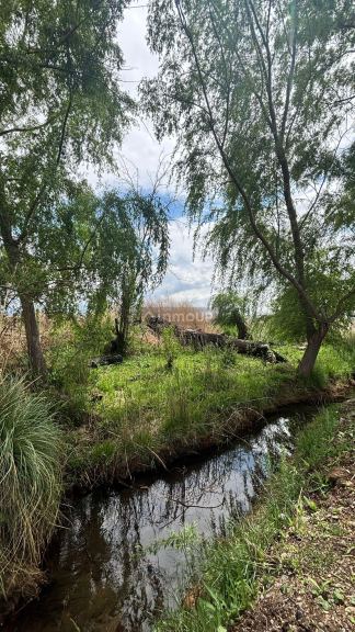 Campo en Venta en Tunuyan, Mendoza