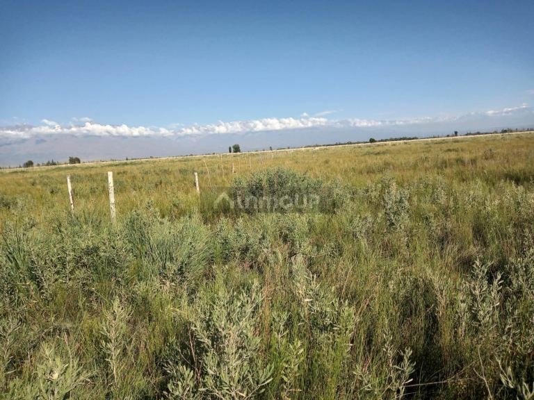 Campo en Venta en Tunuyan, Mendoza