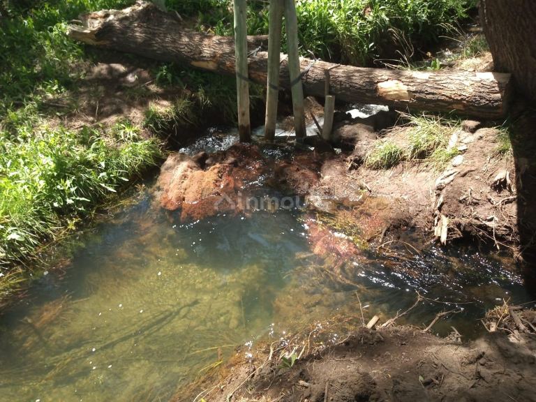 Campo en Venta en Tunuyan, Mendoza