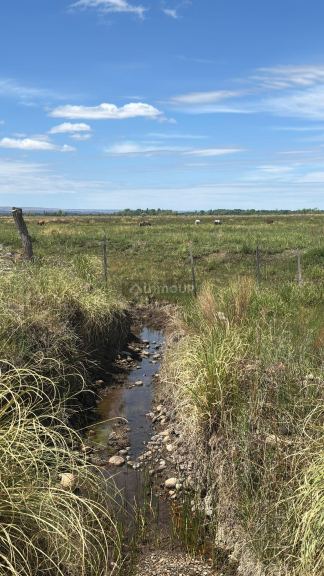 Campo en Venta en Tunuyan, Mendoza