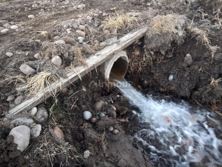 Campo en Venta en Tunuyan, Mendoza
