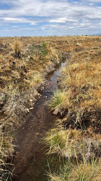 Campo en Venta en Tunuyan, Mendoza