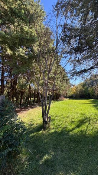 Casa en Alquiler en Lujan de Cuyo, Mendoza