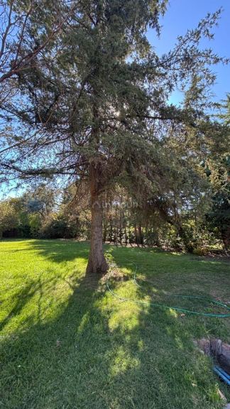 Casa en Alquiler en Lujan de Cuyo, Mendoza