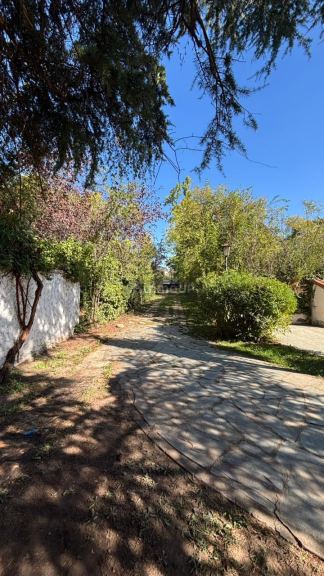 Casa en Alquiler en Lujan de Cuyo, Mendoza