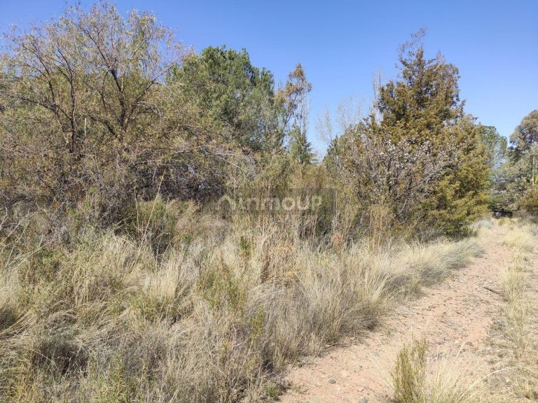 Terreno en Venta en Las Heras, Mendoza