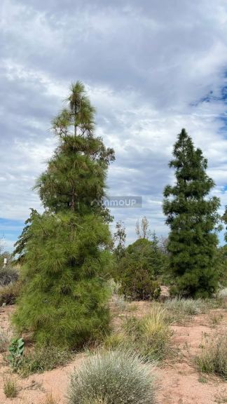 Terreno en Venta en Las Heras, Mendoza