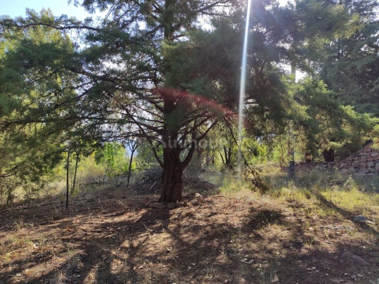 Terreno en Venta en Las Heras, Mendoza