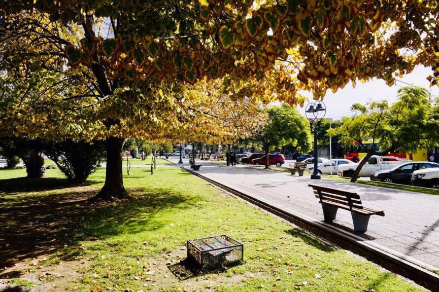 Departamento en Alquiler en Godoy Cruz, Mendoza