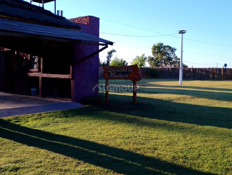 Terreno en Venta en San Martin, Mendoza