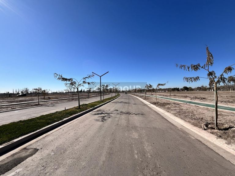 Lote en Venta en Lujan de Cuyo, Mendoza