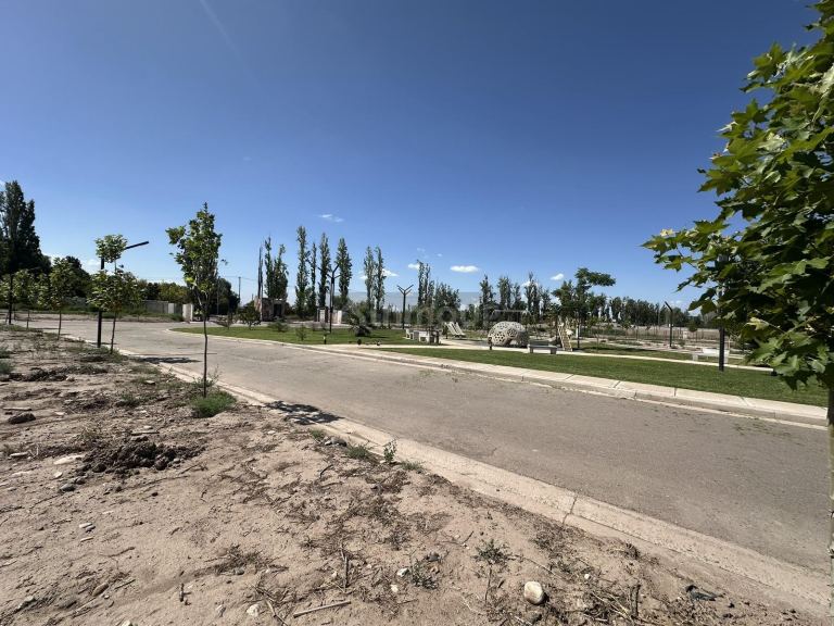 Lote en Venta en Lujan de Cuyo, Mendoza