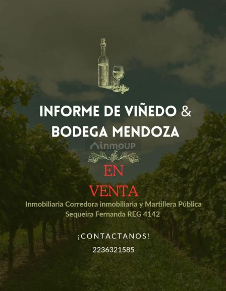 Bodega con Viñedo en Venta en Mar del Plata, Mendoza