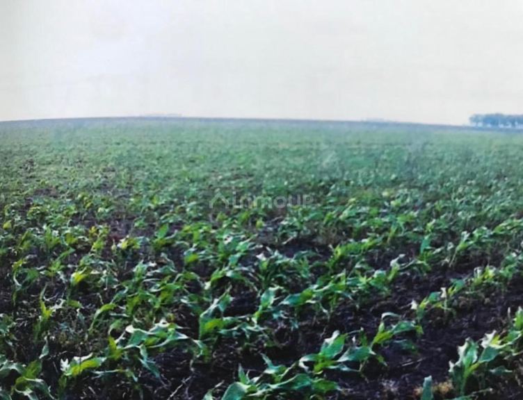 Campo en Venta en Pila, Buenos Aires Interior