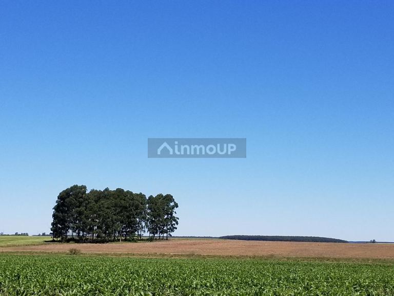 Campo en Venta en Concordia, Entre Rios